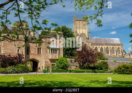 Wells Cathedral depuis les jardins du Bishop's Palace à Wells, Somerset, Angleterre, Royaume-Uni Banque D'Images