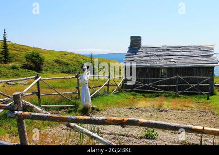 Une fraiche dans un petit jardin clôturé à côté d'une ancienne maison en rondins, Random passage site, New Bonaventure (Terre-Neuve-et-Labrador) Banque D'Images