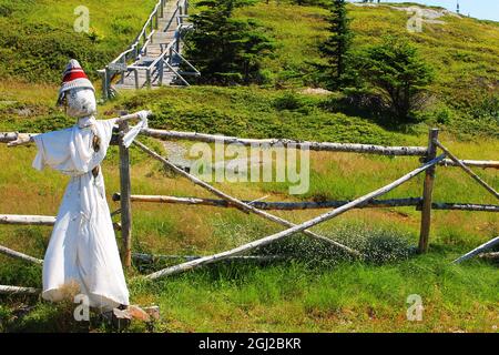 Une fraiche dans un petit jardin potager entouré d'une clôture rustique en rondins, site de Random passage, New Bonaventure (Terre-Neuve-et-Labrador). Banque D'Images