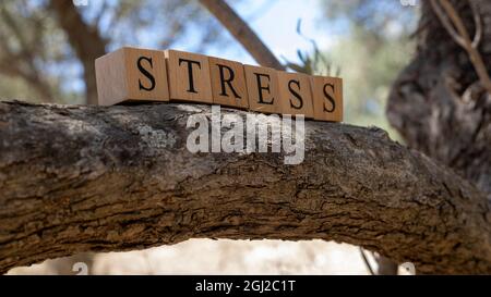 Le mot stress a été créé à partir de cubes en bois. Prise à l'extérieur sur une branche d'arbre. Gros plan Banque D'Images