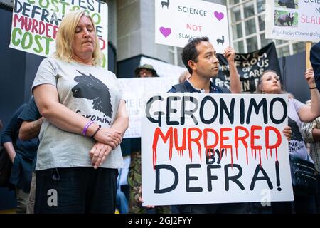 Helen Macdonald (à gauche), propriétaire de Geronimo l'alpaga se joint aux membres de la Justice pour Geronimo et de la campagne Stop Badger Cull lors d'une manifestation devant les bureaux du Ministère de l'Environnement, de l'alimentation et des Affaires rurales (Defra) dans le centre de Londres contre l'assassinat de l'alpaga. Date de la photo: Mercredi 8 septembre 2021. Banque D'Images