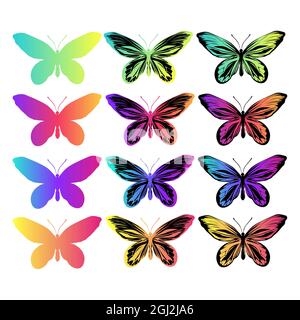 Décor aux papillons arc-en-ciel sur fond blanc. Image vectorielle. Illustration de Vecteur