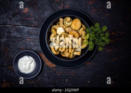 champignons au lait salé avec des branches vertes d'aneth dans un bol noir et de la crème aigre dans une soucoupe sur une table en bois noir Banque D'Images