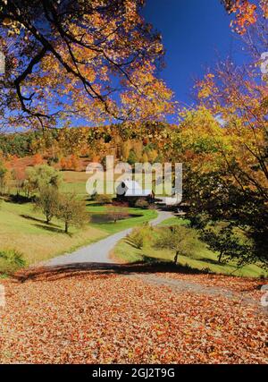 Sleepy Hollow Farm du Vermont en automne Banque D'Images