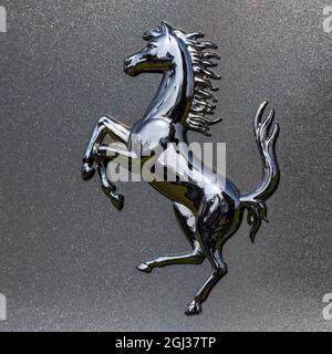 Cheval cabré de Ferrari Banque D'Images