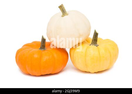 Trois citrouilles décoratives isolé sur fond blanc Banque D'Images