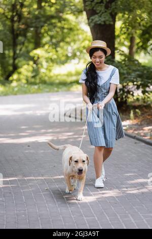 une femme asiatique heureuse en bals à rayures marchant dans un parc avec le labrador jaune sur la laisse Banque D'Images