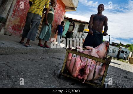 Un homme cubain pousse une charrette chargée du corps d'un porc mort qui devait être mangé lors d'une célébration religieuse afro-cubaine à Santiago de Cuba, Cuba, le 3 août 2009. Banque D'Images