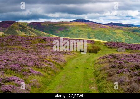 Vue de Penycloddiau à Moel Arthur Moel Famau Banque D'Images