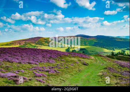 Vue de Penycloddiau à Moel Arthur et Moel Famau Banque D'Images