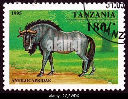 TANZANIE - VERS 1995 : un timbre imprimé en Tanzanie montre Antilocapyridae, vers 1995 Banque D'Images