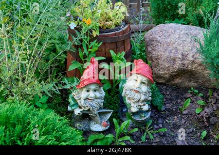 SAULKRASTI, LETTONIE - 18 août 2021 : deux petits gnomes en calottes rouges se trouvent près d'un ancien tonneau en bois et d'une grande pierre en granit dans le jardin. Banque D'Images