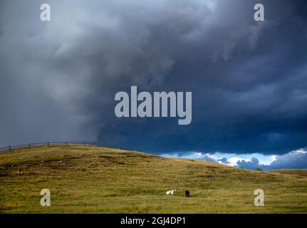 Prairie Storm Canada été temps nuages avertissement Banque D'Images