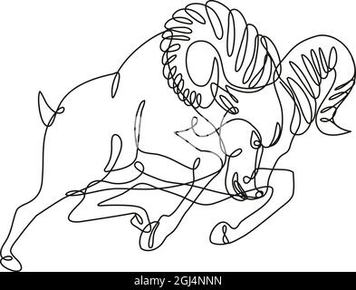 Dessin en ligne continue illustration d'un bélier de mouton de Bighorn sautant et attaquant fait en ligne mono ou en forme de doodle en noir et blanc sur bac isolé Illustration de Vecteur