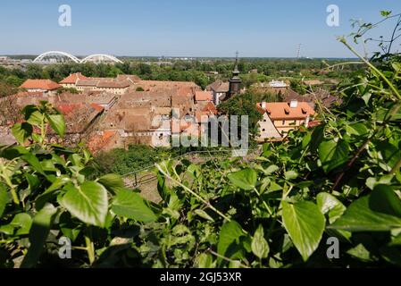Toits en tuiles de la ville de Petrovaradin de la forteresse Banque D'Images