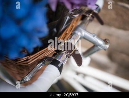 Boucle en cuir marron pour panier à vélo rempli de belles fleurs bleues et violettes. Ancien vélo blanc crème d'époque restauré à la perfection Banque D'Images