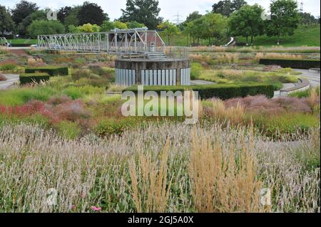 BOTTROP, ALLEMAGNE - 21 AOÛT 2021 : plantation dans un style de prairie vivace conçu par Piet Oudolf dans le parc public de Berne Banque D'Images