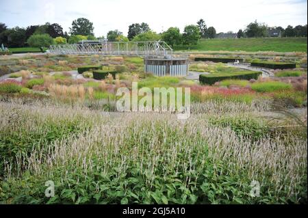 BOTTROP, ALLEMAGNE - 21 AOÛT 2021 : plantation dans un style de prairie vivace conçu par Piet Oudolf dans le parc public de Berne Banque D'Images