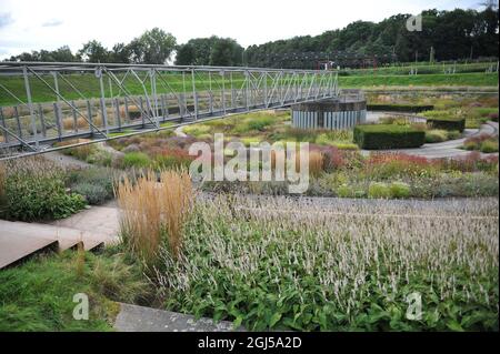 BOTTROP, ALLEMAGNE - 21 AOÛT 2021 : plantation dans un style de prairie vivace conçu par Piet Oudolf dans le parc public de Berne Banque D'Images
