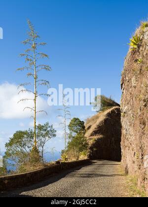 Delgadim, point de vue emblématique de l'ancienne route de montagne entre Porto Novo et Ribeira Grande. Île Santo Antao, Cap-Vert Banque D'Images