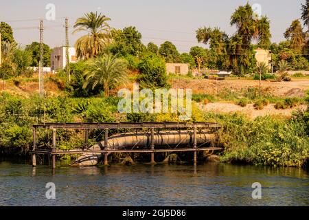 Haute Égypte, scène du Nil d'Assouan entre Kom Ombo et Edfu sur la rive est, pompe d'irrigation, parmi les buscades au bord de la rivière (4 minutes après avoir quitté Kom O Banque D'Images