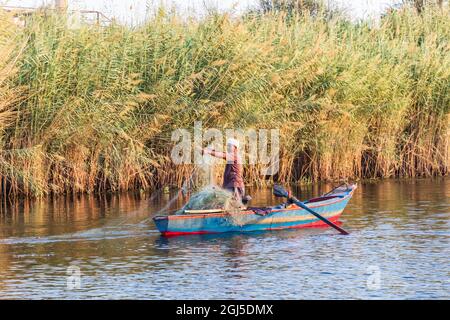 Afrique, Égypte, Assouan. Pêcheur dans une barque, tirant dans un filet sur le Nil. (Usage éditorial uniquement) Banque D'Images
