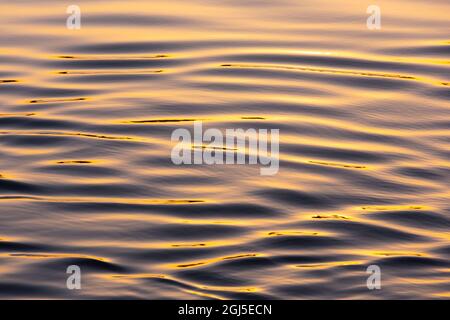 Égypte. Des motifs d'ondulation sur le Nil au coucher du soleil. (Usage éditorial uniquement) Banque D'Images