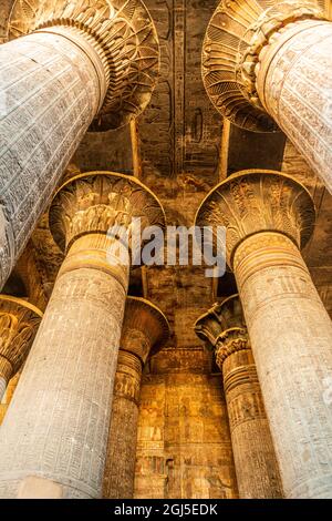 Égypte. Temple de Khnum à Esna. (Usage éditorial uniquement) Banque D'Images