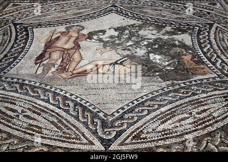 Afrique, Maroc, Volubilis. Mosaïque de Bacchus et Ariadne dans les ruines romaines de Volubilis, site classé au patrimoine mondial de l'UNESCO. Banque D'Images