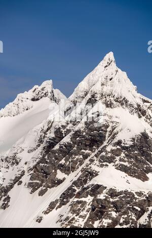 Antarctique, Île de Géorgie du Sud, Baie de la Baleine droite. Montagnes enneigées. Credit AS: Don Gral / Galerie Jaynes / DanitaDelimont.com Banque D'Images