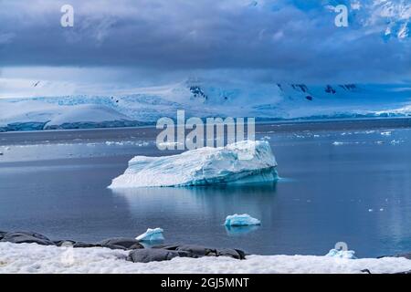 Glaciers bleus, Damey point, Péninsule Antarctique, Antarctique. Glace bleue, neige comprimée. Banque D'Images
