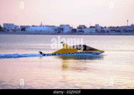 Une belle plage Al Dhakira - Al Khor - QATAR Banque D'Images