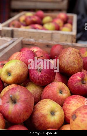 Bhoutan, Thimphu. Pommes fraîches au marché agricole local. Banque D'Images