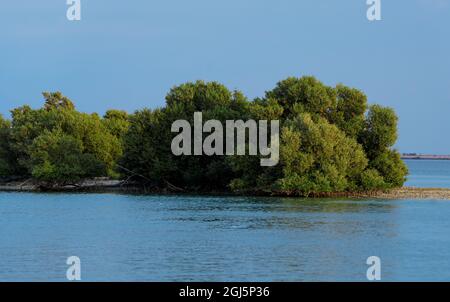 Une belle plage Al Dhakira - Al Khor - QATAR Banque D'Images