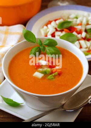Gazpacho. Plat typique de l'Espagne. Soupe traditionnelle espagnole. Banque D'Images