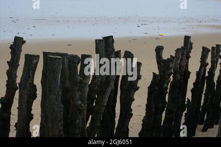 Les troncs d'arbres minces forment une barrière pour les vagues devant la plage de sable, Saint-Malo, Bretagne, France Banque D'Images