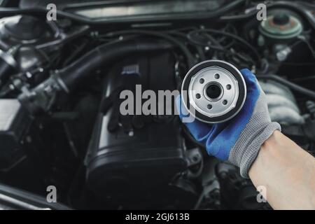 Remplacement du filtre à huile. Le mécanicien d'entretien de moteur de voiture tient un filtre à huile dans sa main contre le fond d'un capot de voiture ouvert Banque D'Images