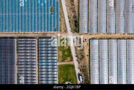 Yinchuan. 8 septembre 2021. La photo aérienne prise le 8 septembre 2021 montre une ferme de cantaloup à Lingwu, dans la région autonome de Ningxia hui, dans le nord-ouest de la Chine. Credit: Yang Zhisen/Xinhua/Alay Live News Banque D'Images