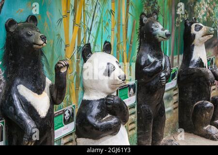 Laos, Luang Prabang. Centre de sauvetage de Kuang si, sculptures d'ours lunaires asiatiques. Banque D'Images