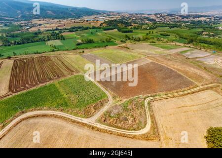 Ferme biologique, région de Marmara, Turquie. Banque D'Images