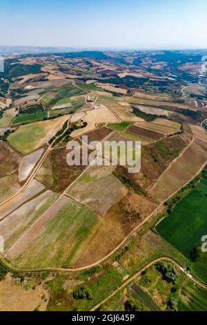 Ferme biologique, région de Marmara, Turquie. Banque D'Images