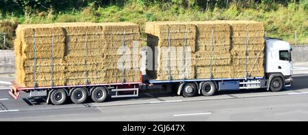 Vue latérale d'un camion blanc à plateau non marqué et d'une remorque de remorquage à plateau chargée de balles de paille classiques maintenues en place par des sangles sur l'autoroute britannique Banque D'Images