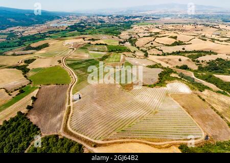 Ferme biologique. Région de Marmara, Turquie. Banque D'Images