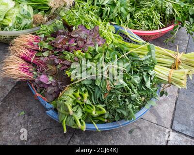 Vietnam, Hanoï, Vieux quartier. Légumes et herbes à vendre. Banque D'Images