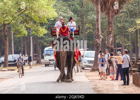 Cambodge, Angkor, Angkor Thom. Touristes à cheval sur des éléphants. Banque D'Images