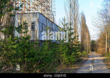 Ukraine, Pripyat, Tchernobyl. Extérieur des bâtiments et des blocs résidentiels, près du radar Duga-1. Banque D'Images