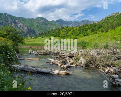 Lac Sary-Chelek dans la réserve naturelle Sary-Chelek (Sary-Tschelek), site classé au patrimoine mondial de l'UNESCO, Shan Tien occidental. Tien Shan montagnes ou paradisiaque pe Banque D'Images