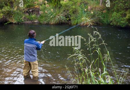 Les touristes pêchent à la mouche avec un guide de pêche dans le ruisseau de la région du lac Taupo en Nouvelle-Zélande. Banque D'Images