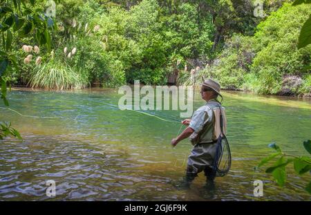 Les touristes pêchent à la mouche avec un guide de pêche dans le ruisseau de la région du lac Taupo en Nouvelle-Zélande. Banque D'Images