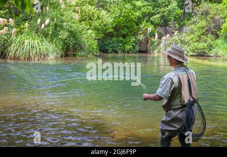 Les touristes pêchent à la mouche avec un guide de pêche dans le ruisseau de la région du lac Taupo en Nouvelle-Zélande. Banque D'Images